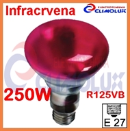 Infracrvena žarulja E27 250W R125VB