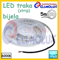 LED traka IP65 bijela 6000K 60L Vt