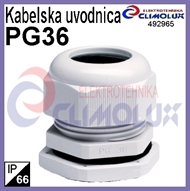 Plastic cable cland PG36 ,IP66