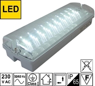 Svjetiljka s LED za PANIK rasvjetu 4W 3H IP65 LBVL30